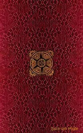 Rose | Buch der Magie (Notizbuch) | Buch | 978-3-7431-6350-8 | www.sack.de