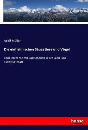 Müller |  Die einheimischen Säugetiere und Vögel | Buch |  Sack Fachmedien