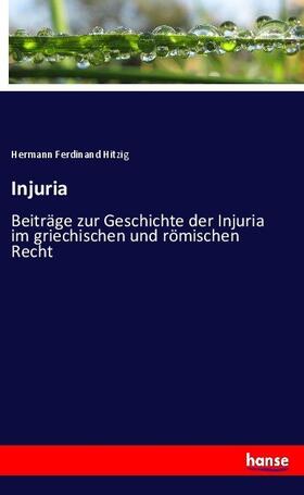 Hitzig |  Injuria | Buch |  Sack Fachmedien