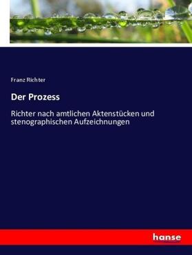 Richter |  Der Prozess | Buch |  Sack Fachmedien