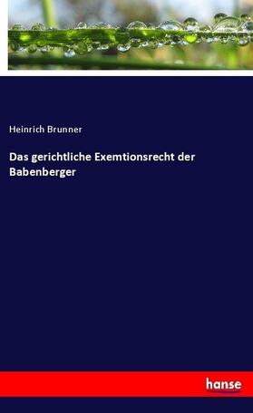Brunner | Das gerichtliche Exemtionsrecht der Babenberger | Buch | 978-3-7436-7101-0 | sack.de