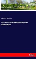 Brunner |  Das gerichtliche Exemtionsrecht der Babenberger | Buch |  Sack Fachmedien