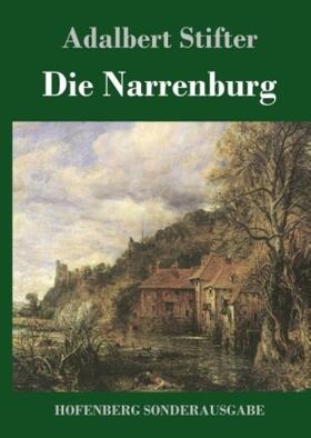 Stifter |  Die Narrenburg | Buch |  Sack Fachmedien