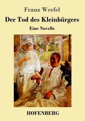 Werfel |  Der Tod des Kleinbürgers | Buch |  Sack Fachmedien