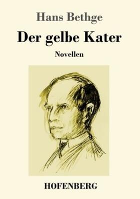 Bethge |  Der gelbe Kater | Buch |  Sack Fachmedien