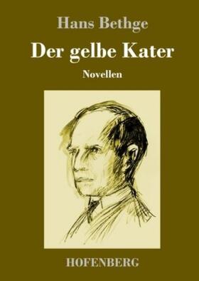 Bethge |  Der gelbe Kater | Buch |  Sack Fachmedien