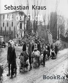 Kraus |  Auf der Flucht | eBook | Sack Fachmedien