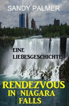 Palmer |  Rendezvous in Niagara Falls: Eine Liebesgeschichte | eBook | Sack Fachmedien