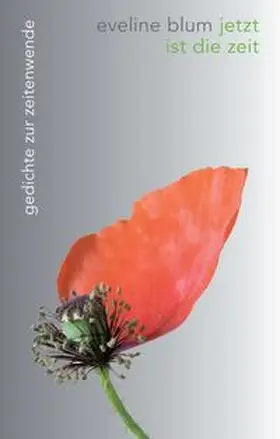 Blum | jetzt ist die zeit | Buch | 978-3-7439-7562-0 | www.sack.de
