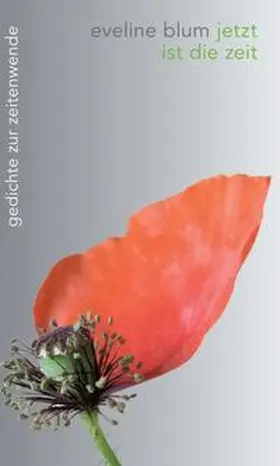Blum | jetzt ist die zeit | Buch | 978-3-7439-7563-7 | www.sack.de