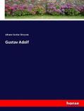 Droysen |  Gustav Adolf | Buch |  Sack Fachmedien
