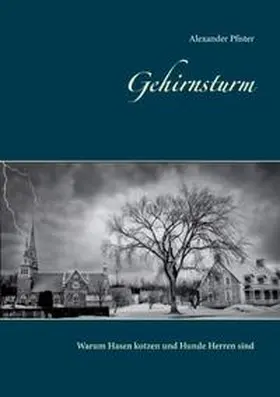 Pfister |  Gehirnsturm | Buch |  Sack Fachmedien