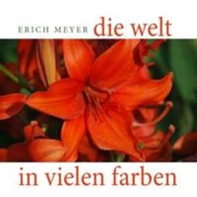 Meyer | Die Welt in vielen Farben | Buch | 978-3-7448-7707-7 | sack.de