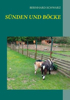 Schwarz |  Sünden und Böcke | eBook | Sack Fachmedien