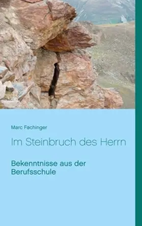 Fachinger |  Im Steinbruch des Herrn | Buch |  Sack Fachmedien
