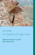 Fachinger |  Im Steinbruch des Herrn | Buch |  Sack Fachmedien