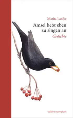 Lanfer |  Amsel hebt eben zu singen an | Buch |  Sack Fachmedien