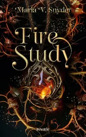 Snyder |  Fire Study | eBook | Sack Fachmedien