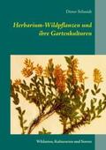Schmidt |  Herbarium-Wildpflanzen und ihre Gartenkulturen | Buch |  Sack Fachmedien