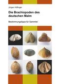 Höflinger |  Die Brachiopoden des deutschen Malm | eBook | Sack Fachmedien