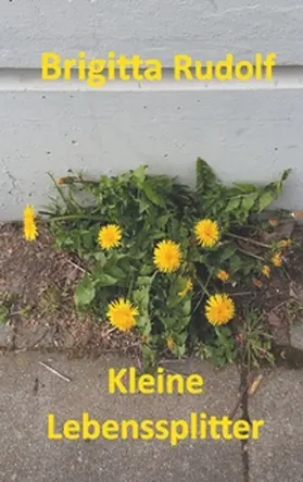 Rudolf |  Kleine Lebenssplitter | Buch |  Sack Fachmedien