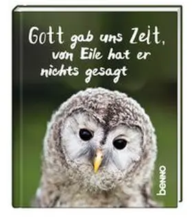 Bauch |  Gott gab uns Zeit, von Eile hat er nichts gesagt | Buch |  Sack Fachmedien