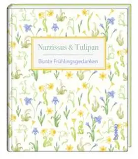 Bauch |  Narzissus & Tulipan | Buch |  Sack Fachmedien