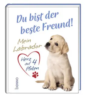 Bauch |  Du bist der beste Freund! | Buch |  Sack Fachmedien