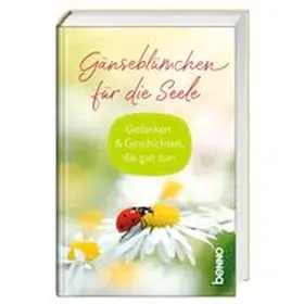 Bauch |  Gänseblümchen für die Seele | Buch |  Sack Fachmedien