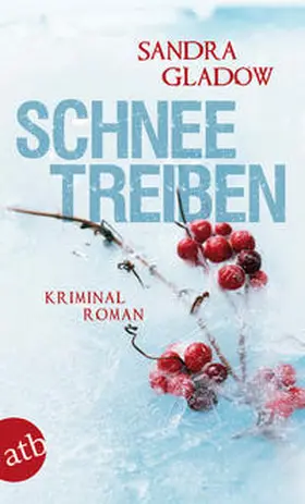 Gladow |  Schneetreiben | Buch |  Sack Fachmedien