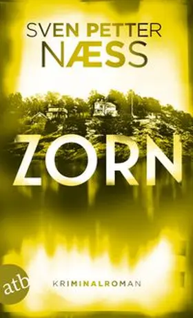 Naess |  Zorn | Buch |  Sack Fachmedien