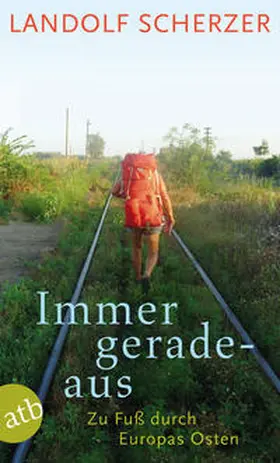 Scherzer |  Immer geradeaus | Buch |  Sack Fachmedien