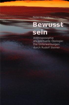 Krause | Bewusst sein | Buch | 978-3-7467-0647-4 | sack.de