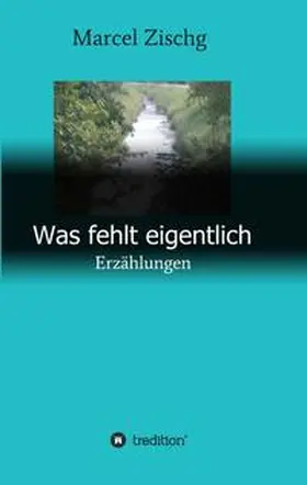 Zischg |  Was fehlt eigentlich | Buch |  Sack Fachmedien