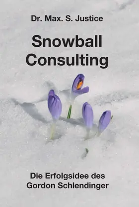 Justice |  Snowball Consulting | Buch |  Sack Fachmedien