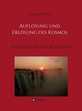 Nies |  Auflösung und Erlösung des Kosmos | Buch |  Sack Fachmedien