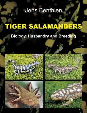 Benthien |  Tiger Salamanders | Buch |  Sack Fachmedien