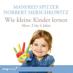 Spitzer / Herschkowitz |  Wie kleine Kinder lernen - von 3-6 Jahren | Sonstiges |  Sack Fachmedien