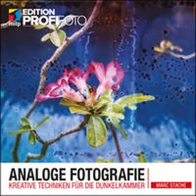 Stache |  Analoge Fotografie | Buch |  Sack Fachmedien