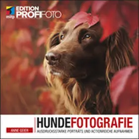 Geier |  Hundefotografie | eBook | Sack Fachmedien