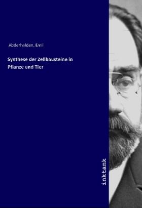 Abderhalden |  Synthese der Zellbausteine in Pflanze und Tier | Buch |  Sack Fachmedien