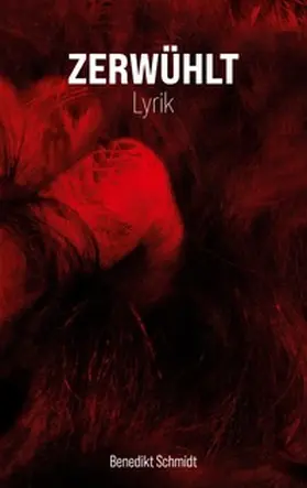 Schmidt |  Zerwühlt | Buch |  Sack Fachmedien