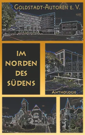 Gassler / DeWinter / Konrad |  Im Norden des Südens | eBook | Sack Fachmedien