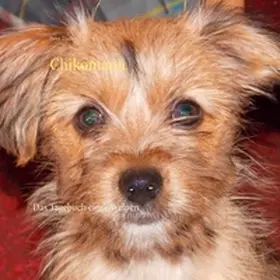 Fischer |  Chikomann | Buch |  Sack Fachmedien