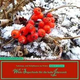 Schaad / Seiters |  Wilde Superfoods für die kalte Jahreszeit | Buch |  Sack Fachmedien