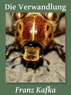 Kafka |  Die Verwandlung | eBook | Sack Fachmedien