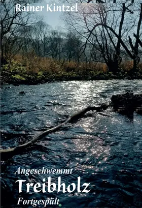 Kintzel |  Treibholz | Buch |  Sack Fachmedien