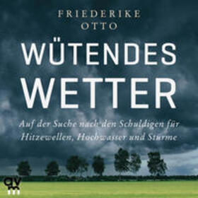 Otto | Wütendes Wetter | Sonstiges | 978-3-7484-0064-6 | sack.de
