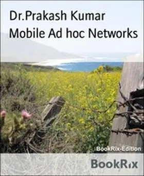 Kumar |  Mobile Ad hoc Networks | eBook | Sack Fachmedien