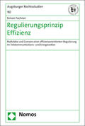 Fechner |  Regulierungsprinzip Effizienz | eBook | Sack Fachmedien